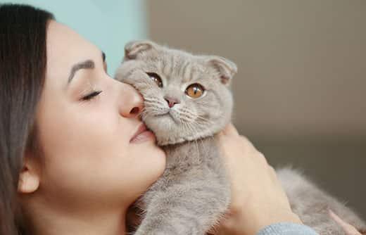 woman-snuggles-gray-scottish-fold-cat-SW Egy nő egy szürke skót lógófülű macskát tart az arcához, összebújva vele.