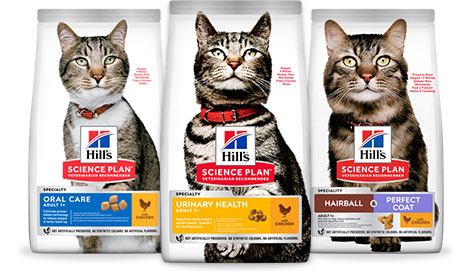 Science Plan Urinary, Oral és Hairball & Perfect Coat macskaeledelek