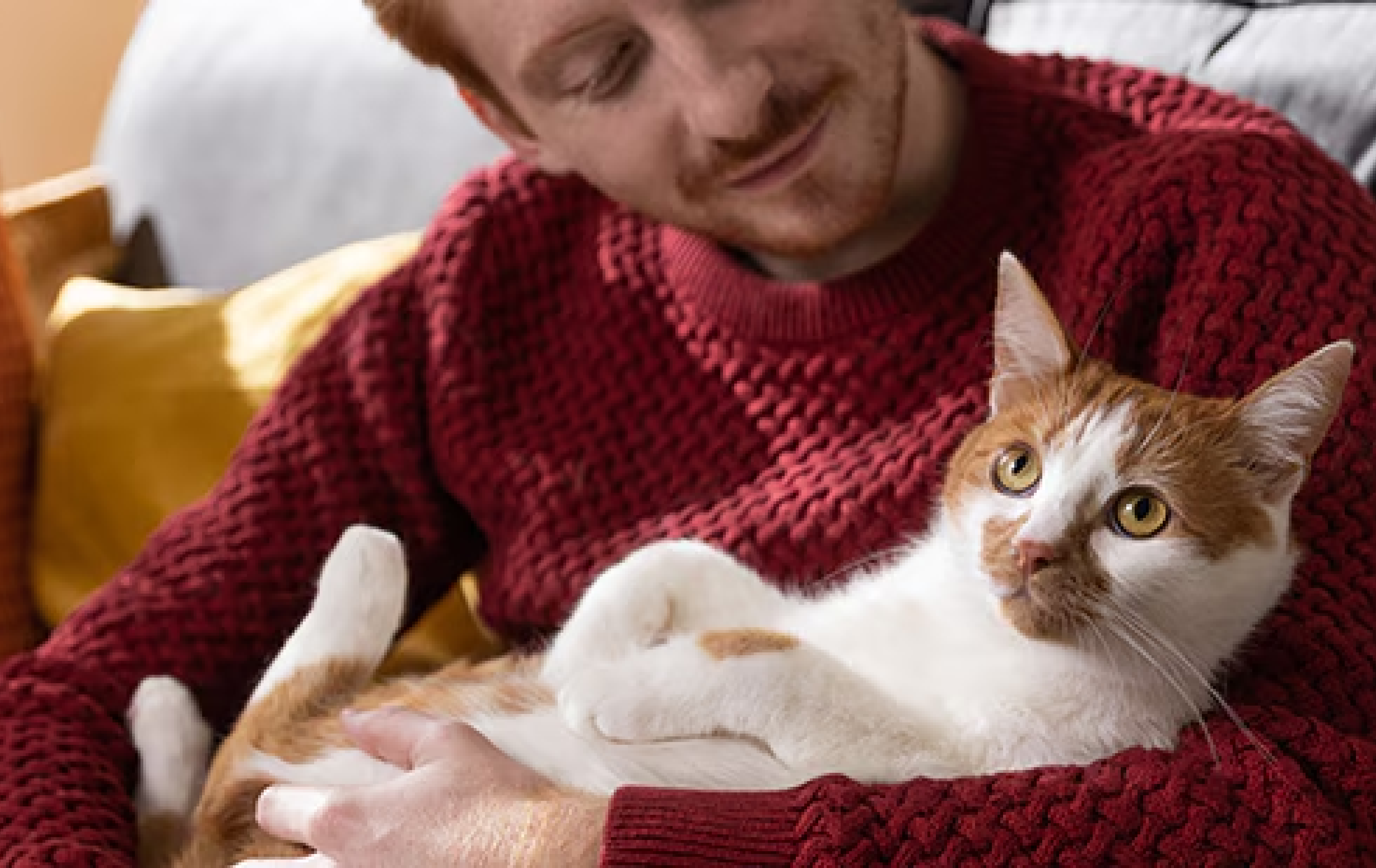 Nő narancssárga blúzban, vörös cicával