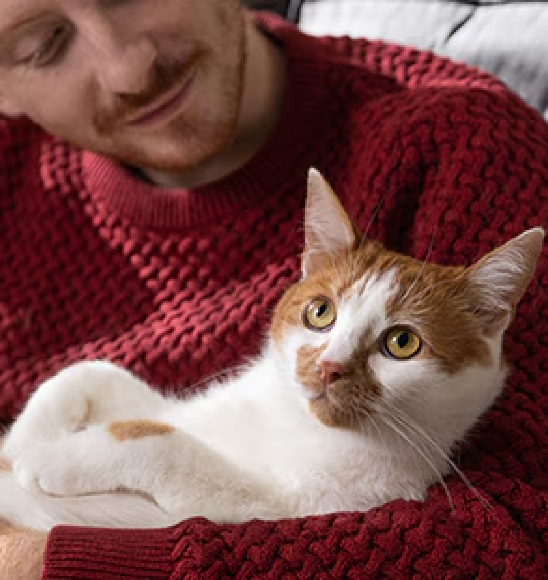 Nő narancssárga blúzban, vörös cicával