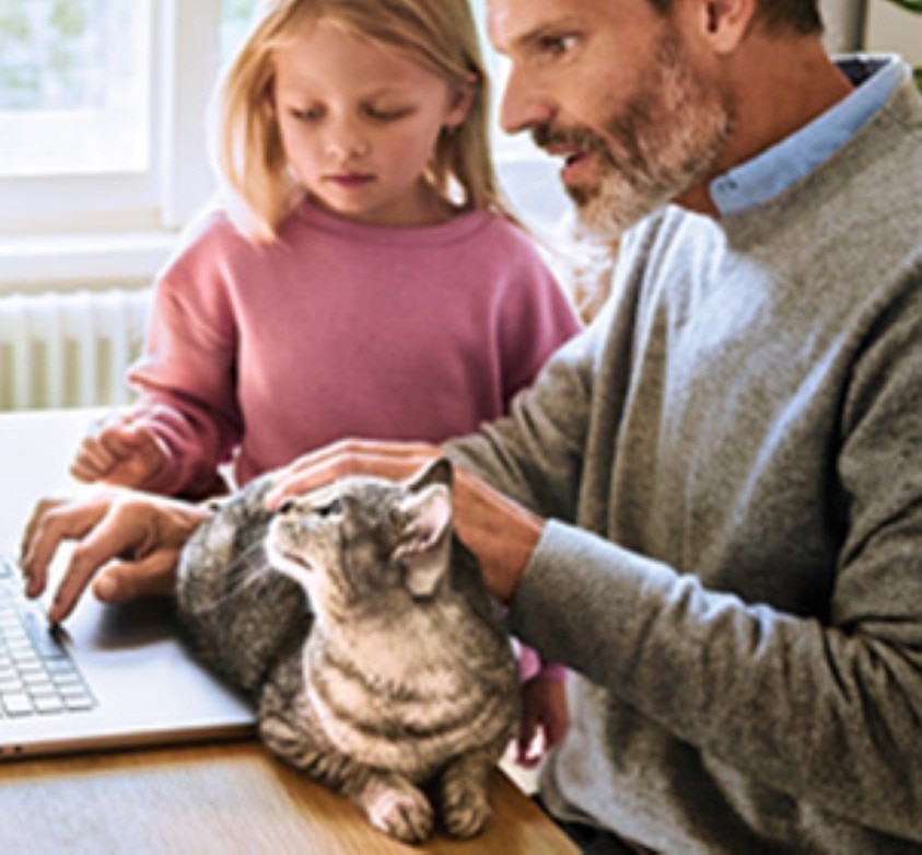 pet parent stroking a black cat with white features
