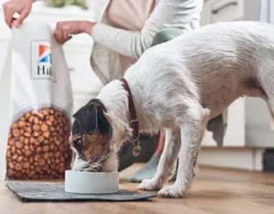 Egy kutyus Hill's eledelt eszik