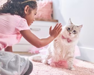 Kislány egy cicával játszik