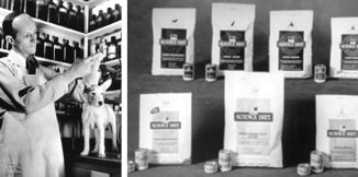 Dr. Mark Morris Sr. egy kutyát kezel