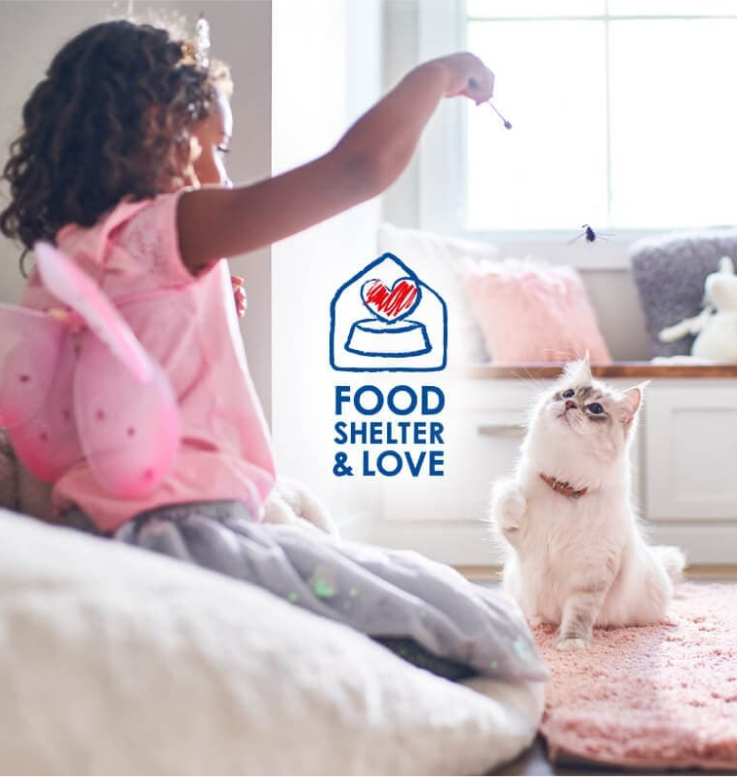 Lány játszik a macskájával