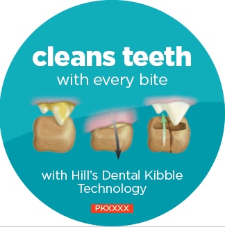FOGTISZTÍTÓ DENTAL KIBBLE TECHNOLÓGIA